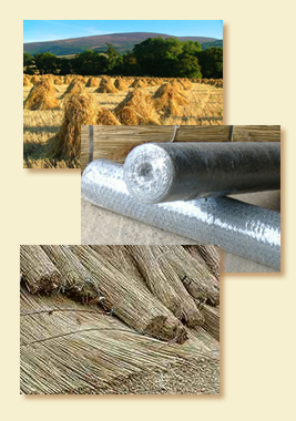 About Thatching
